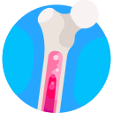 Orthopedic Surgery